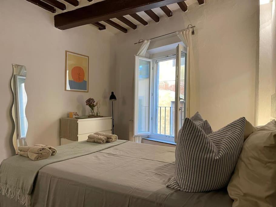 Casa Storica Nel Cuore Di Pisa - Lungarno Екстер'єр фото